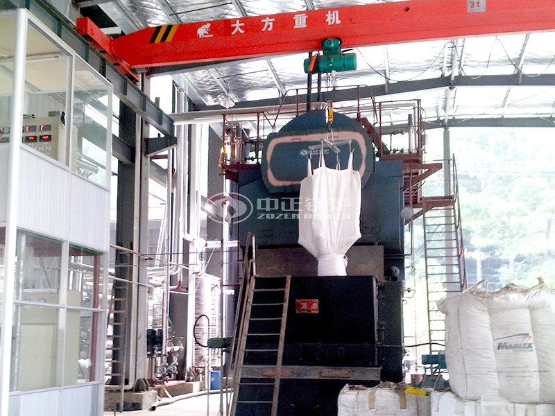 三门峡十吨烧生物质锅炉