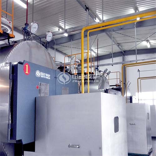  溧阳罗地亚稀土10吨WNS系列工业燃气蒸汽锅炉项目