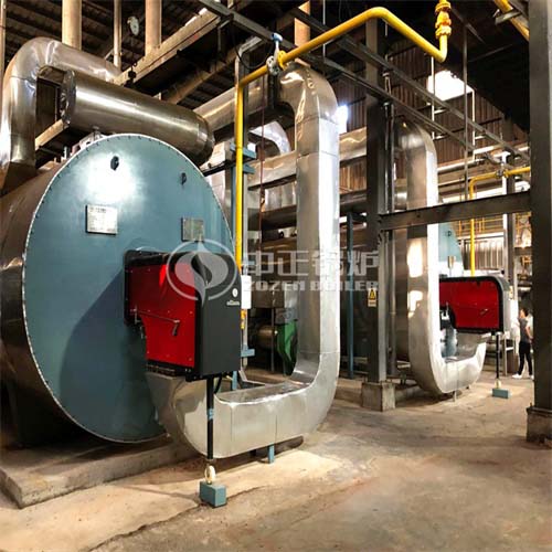  2.8MW WNS系列工业燃气热水锅炉项目（上海鲜花港）