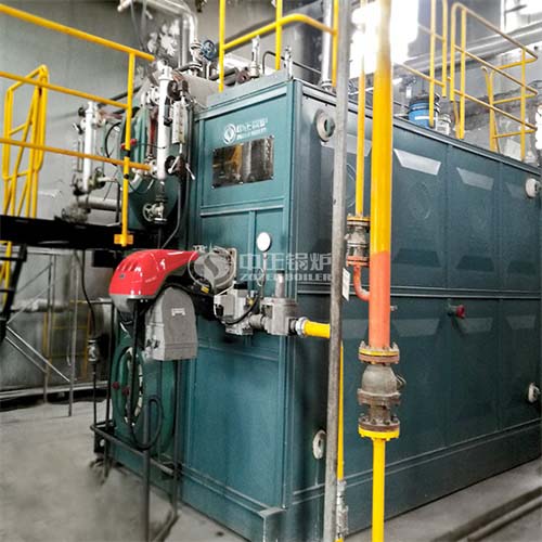  赣锋锂业35-50吨DHX系列循环流化床锅炉项目